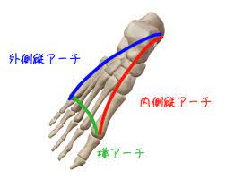 体の健康も距骨から　ver.２